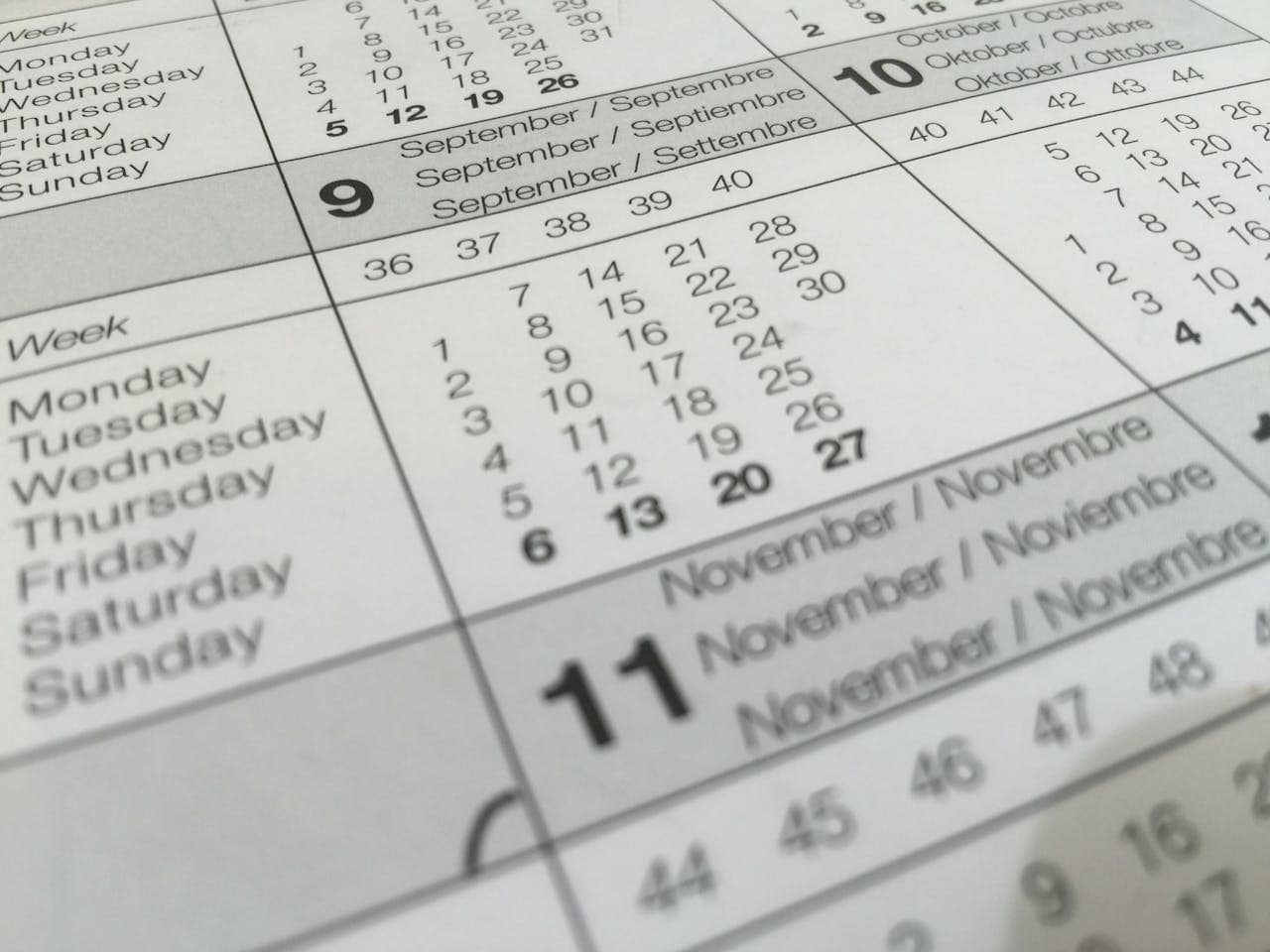 Close-up of a Navajo White dinosaur model on a calendar background.
